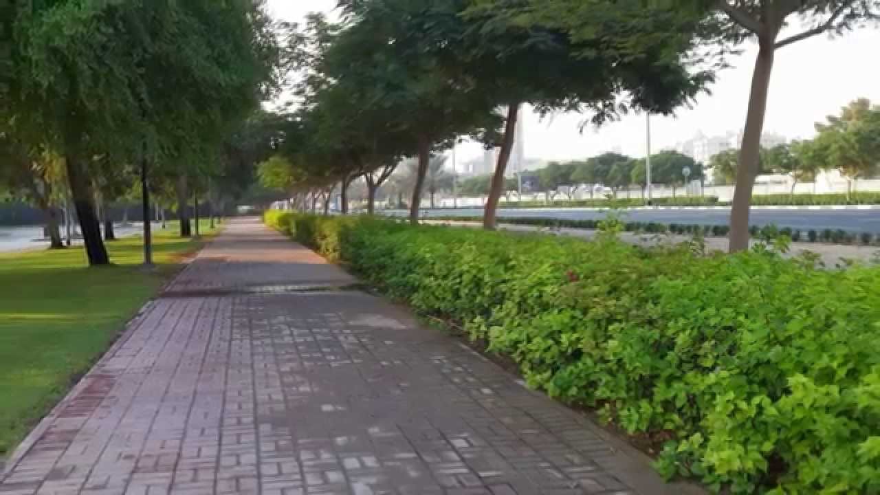 Greenery in Dubai and Kerala so beatiful YouTube