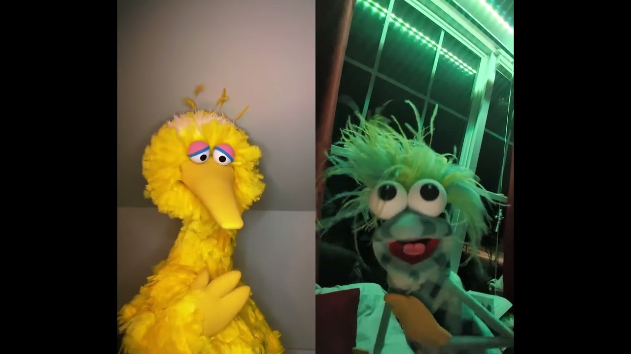 Big Bird and Girl Puppet