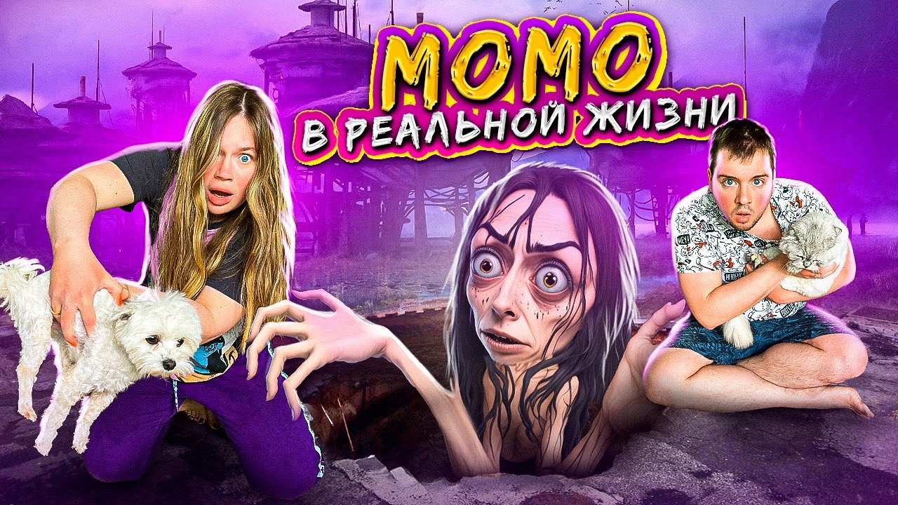 Ляпоте тв