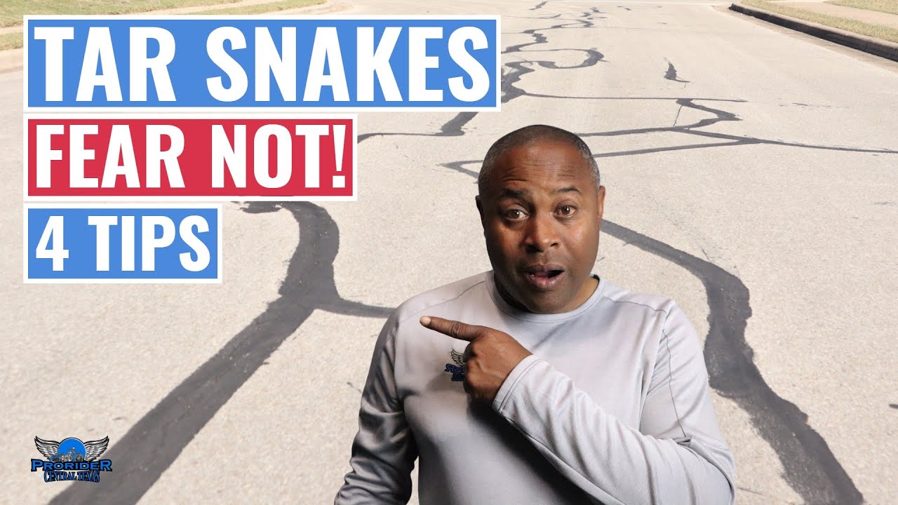 Tar Snakes. 4 tips for handling them.