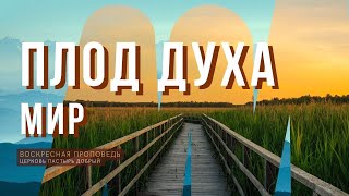 Плод Духа. Мир., Г.Лунгу