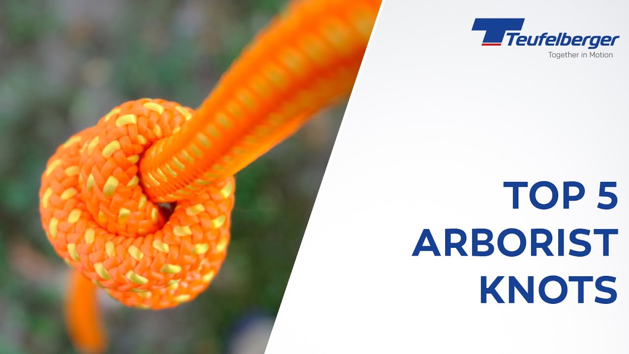 Top five arborist knots -Just knotting, no talking 