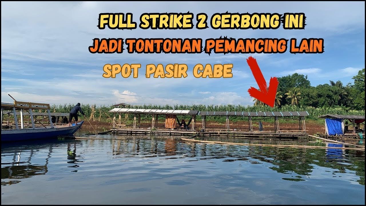 KEWALAHAN 😱 PESTA STRIKE DI CIRATA❗️❗️ JADI TONTONAN PEMANCING LAIN ❗️❗️ MANCING CIRATA HARI INI