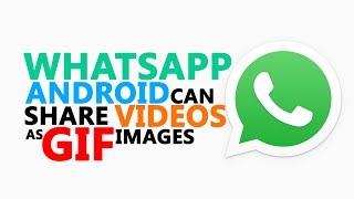 WhatsApp Beta for Android Now Lets You Share Videos as Animated Gif Images screenshot 2