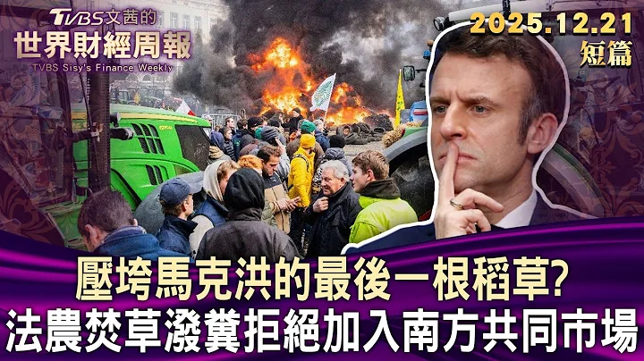 壓垮馬克洪的最後一根稻草？ 法農焚草潑糞拒絕加入南方共同市場【短篇】#TVBS文茜的世界財經周報 20251221
