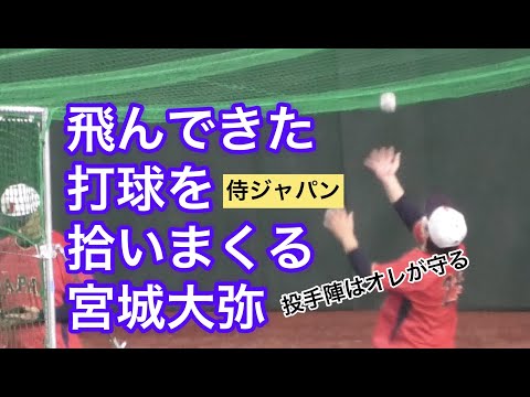 【侍ジャパン】投手陣を守りたい宮城投手が子犬のようにボールにじゃれつく