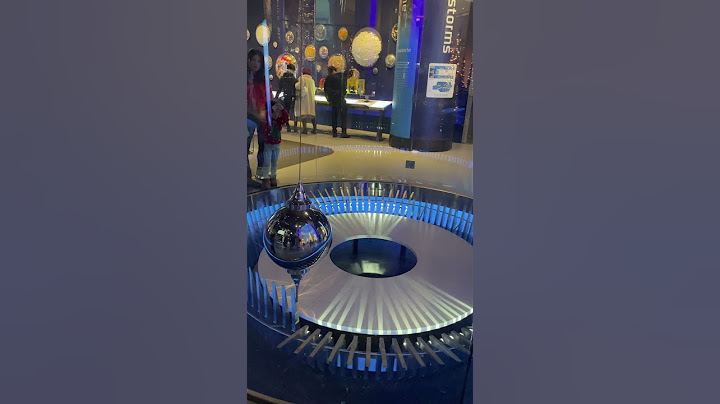 Rat Watches a Giant Foucault Pendulum Swing! Museum of Science and Industry Chicago #museum #science
