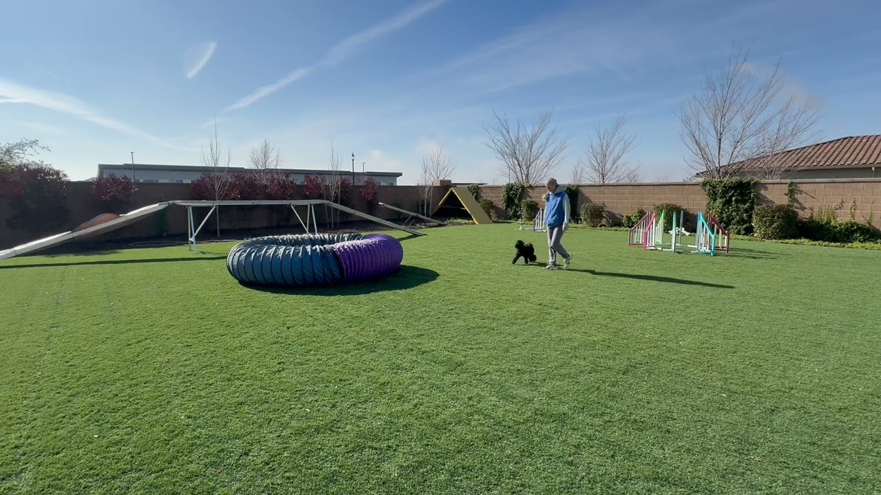 Pill Bug Shadow Handling (with Advanced)