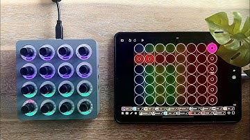 Loopy Pro | Midi Fighter Twister | Tutorial
