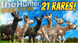 I Hunted 21 Rare Roe Deer! Piebald, Melanistic, & Leucistic! Call Of The Wild
