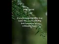 "The secret "-part 16