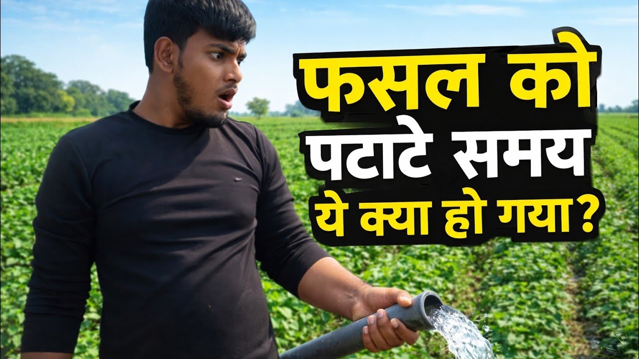 खेत में फसल फटाते समय हुआ बड़ा हादसा 😱 | पूरा सच देखो