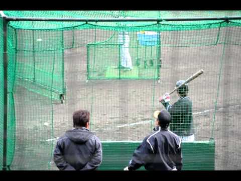 2011阪神春季キャンプin安芸　鳥谷　特打