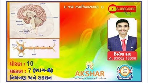 STD:10 SCIENCE CH:7 નિયંત્રણ અને સંકલન PART:4 NCERT (GUJARATI MED)