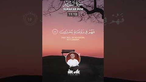 تلاوة خاشعة لما تيسر من سورة الروم – القارئ علاء عقل#القارئ_علاء_عقل #القرآن_الكريم #صوت_مؤثر