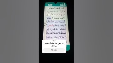 سورة النساء الآية 29-31 سعد الغامدي