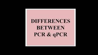difference between PCR and qPCR