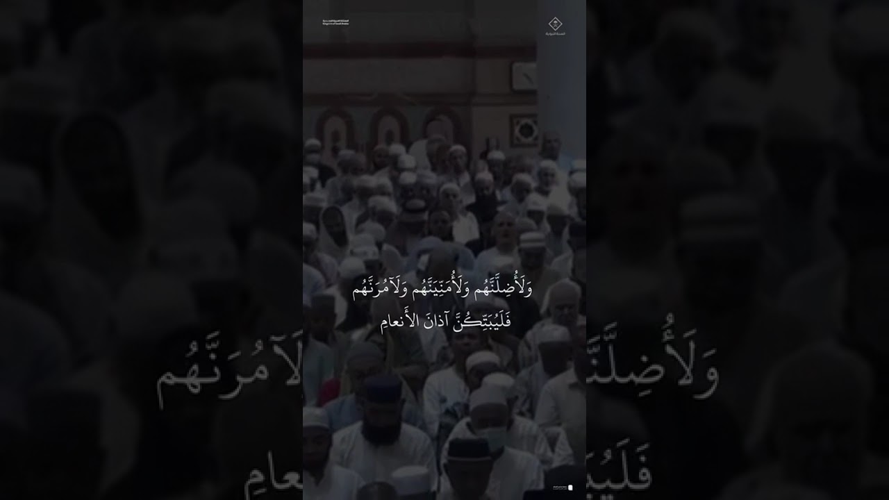 مقتطف من تلاوة الشيخ #محمد_برهجي من فجرية 29 ذو الحجة 1446هـ