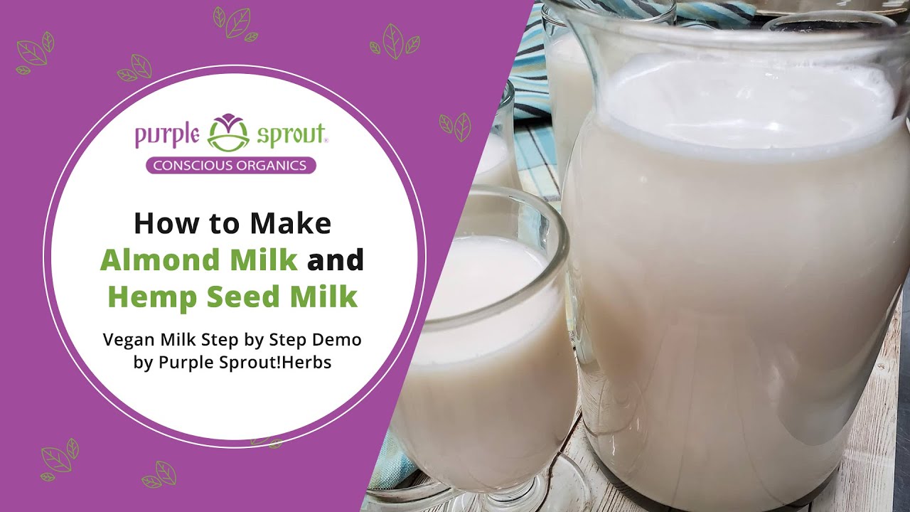 How to Make Almond Milk and Hemp Seed Milk Vegan Milk Step by Step