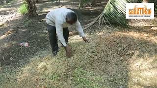 Shaktiman Static Shreader