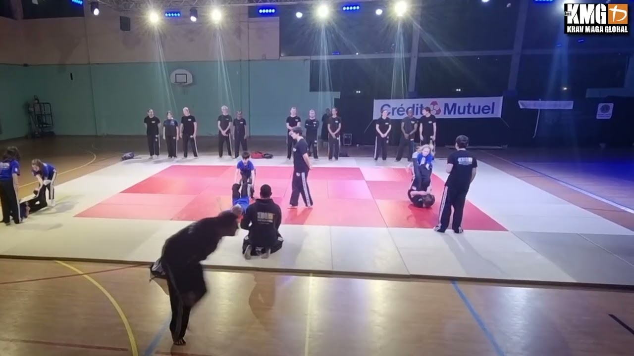 Festival des arts martiaux et de l’inclusion : Maisons-Laffitte 2026