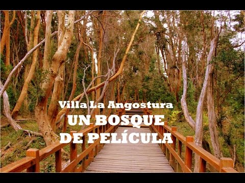 Vídeo: Las Mejores Caminatas En El Parque Nacional Nahuel Huapi, Patagonia, Argentina