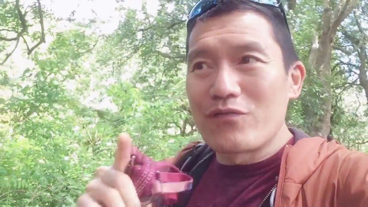 How to make money quickly -- and ethically 