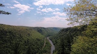 Watkins Glen State Park | The Wednesday Series 008 | Ryan Carcia