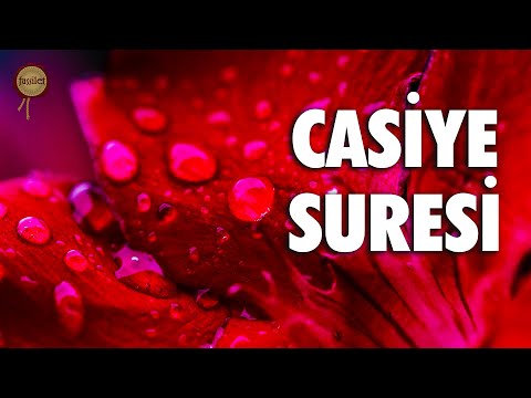 İşte bu Kur’an bir hidayettir | Casiye Suresi - Ali Turan