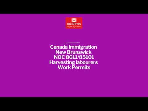 Canada Immigration New Brunswick NOC 8611/85101 Harvesting labourers Work Permits