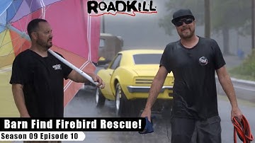 Barn Find Firebird Rescue! - Roadkill S09E10 - Reality Car TV Show