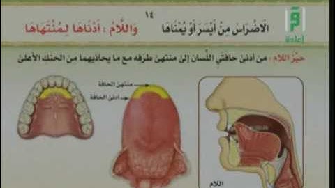 ثالثا : مخارج اللسان ج ( 3 ) وفيه مخرج اللام والنون - برنامج الاتقان لتلاوة القران