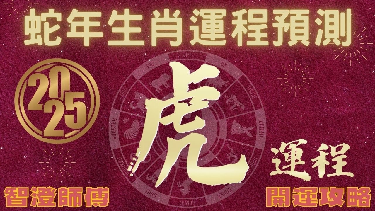 2025年 乙巳年 生肖運勢 蛇年十二生肖運程 —【肖虎】 | 概括運程+四季不同時段出生 屬虎運程 | 開運攻略 | 生肖運程 分析 ...