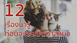 12 เรื่องน่ารู้ ก่อนจะตกเป็นทาสแมว