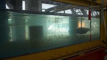 Third tests - Lateral line probe calibration in an open channel (Institut für Wasser (Stuttgart))