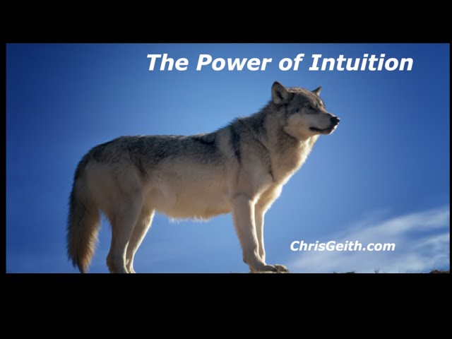 CHRIS GEITH - THE POWER OF INTUITION