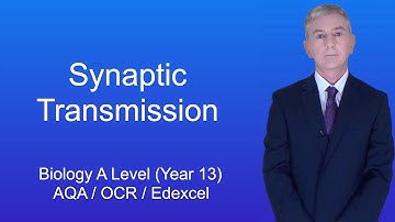 A Level Biology Revision (Year 13) "Synaptic Transmission"