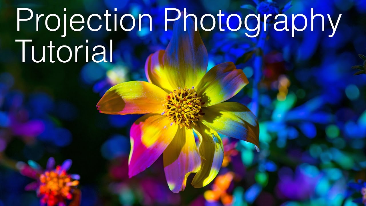 Projector Photography Tutorial