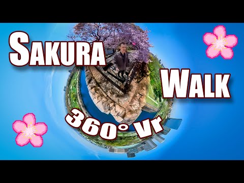 Spring in Japan - SAKURA Blooming 360 Degree Video! Let&rsquo;s take a Walk Together