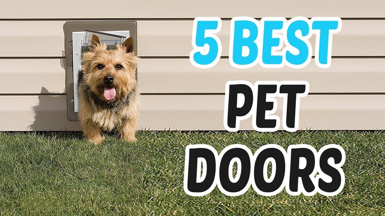 Best Pet Door 2018 Pet Door Reviews YouTube