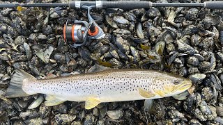 Fishing Scotland’s waters for sea trout