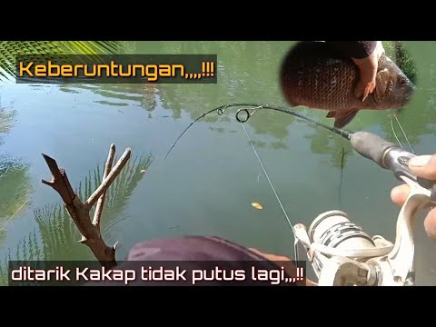 Hari Keberuntungan,,,Disambar Kakap