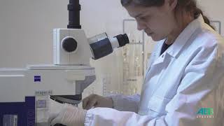 The Quality Control for AEB Oenological Yeasts