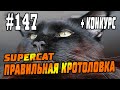 #147 Кротоловка SuperCat Vole Trap, Кот Фёдор - реальный отзыв, инструкции, советы!