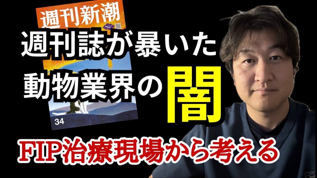 週刊誌が暴いた“動物業界の闇”──FIP治療の現場から考える」｜2025年