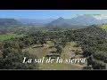 La sal de la sierra, Algar, Prado del Rey y El Bosque, Cádiz