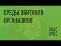 Среды обитания организмов. Знакомство с организмами различных сред обитания. Видеоурок по биологии 5