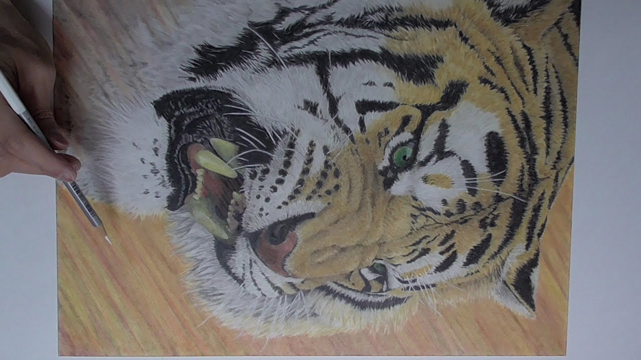 色鉛筆 パステル リアルな虎の描き方 How To Draw A Tiger Pastel Drawing Youtube