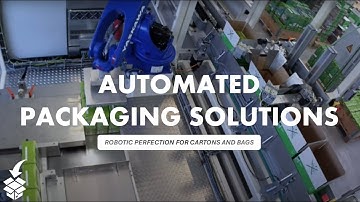 Automated Packaging Solutions: Robotic Perfection for Cartons and Bags