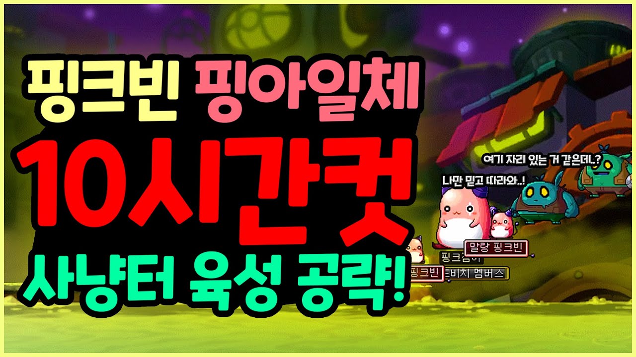 [메이플] 핑크빈 10시간컷 사냥터 육성 공략하기 (핑크빈 스킬 정리까지, 22일점검전까지 육성가능)